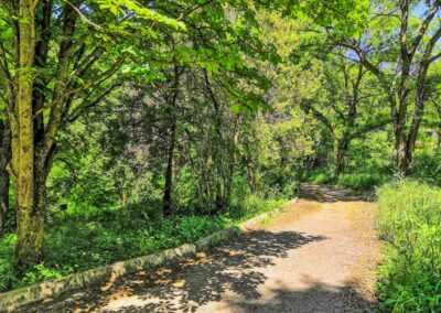Прогулочная аллея санатория Лермонтова Пятигорск - фотография