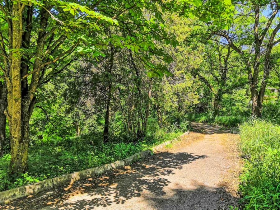 Прогулочная аллея санатория Лермонтова Пятигорск - фотография