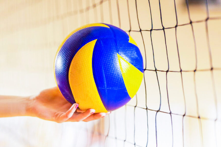 Волейбольная площадка в санатории - фотография